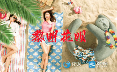 一丝不苟花呗